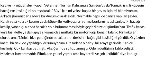 Samsun'da Pamuk isimli bir kedinin patilerinin kesilmesi dehşetle karşılanmıştı. Konu hakkında veteriner Nurhan Kahraman büyü hakkında duyum aldıklarını belirtmişti.