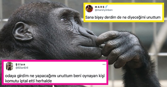 Beynimiz Bir Şeyi Unuttuğumuzu Hatırlıyorken, Unutulan Şeyi Neden Hatırlayamıyor?