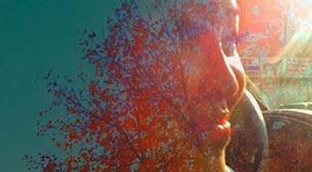 15. 88:88 (2015)