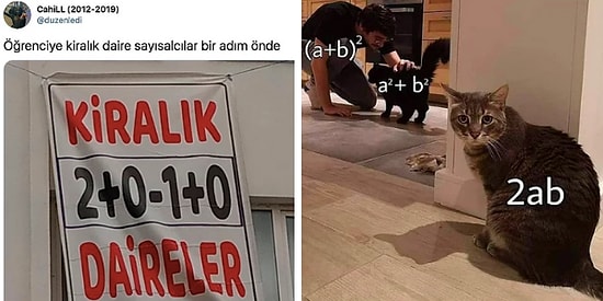 Sayısalcıların Tek Bir Bakışta Kahkaha Atıp Sözelcilerin Ağlayacağı 15 Paylaşım