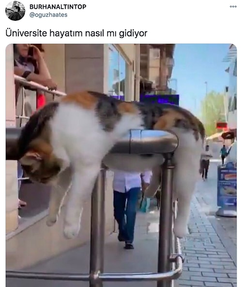 Evde Durmaktan Kafayı Sıyıran Üniversite Öğrencilerinin Son Halini Görünce Çok Güleceksiniz