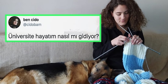 Evde Durmaktan Kafayı Sıyıran Üniversite Öğrencilerinin Son Halini Görünce Çok Güleceksiniz