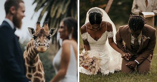 20 лучших свадебных фотографий, которые заставят верить, что 2020 был не таким уж и плохим