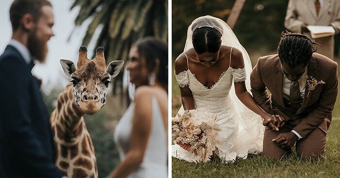 20 лучших свадебных фотографий, которые заставят верить, что 2020 был не таким уж и плохим