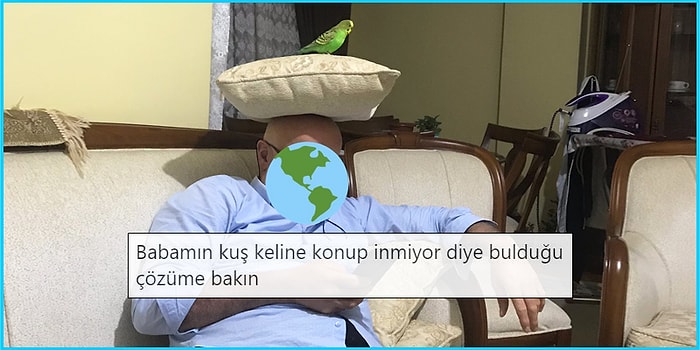 Aile Üyelerini Mizahlarına Alet Eden Goygoyculardan Haftanın En Eğlenceli 15 Paylaşımı