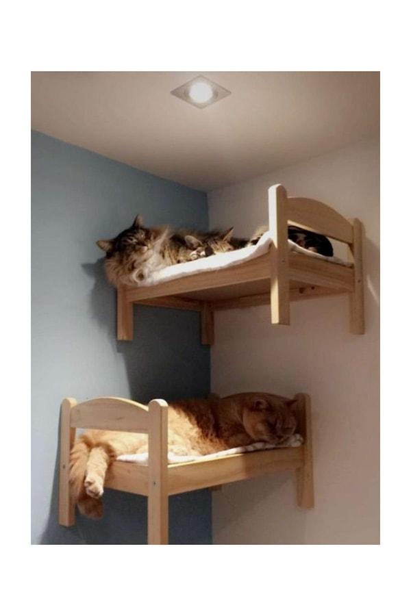 7. Yüksek yerlerde yatmayı seven kedilerin bayılacağı bir yatak!