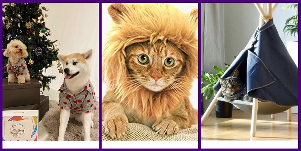 Gönlünü Bir Minnoşa Kaptıran Hayvanseverlerin Bayıldığı 17 Şey