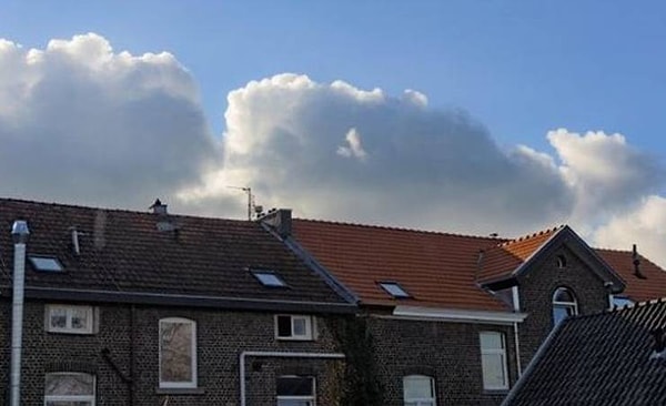 7. "Пожалуйста, почистите соседнюю крышу тоже!"