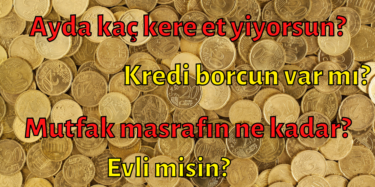 Dev Anket Ev Ev Türkiye’nin Aylık Gelir Gider Tablosunu Ortaya