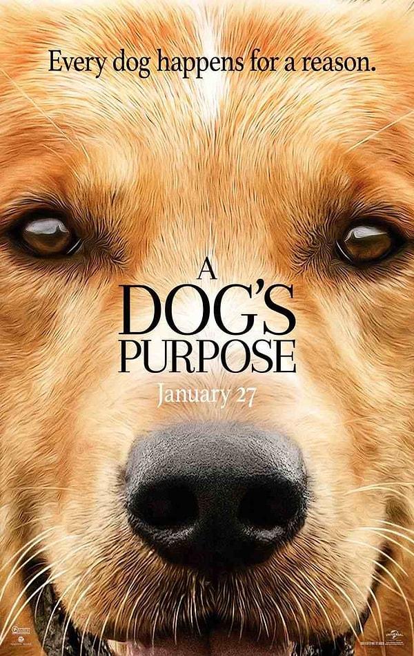14.  A Dog’s Purpose - Can Dostum (2017)
