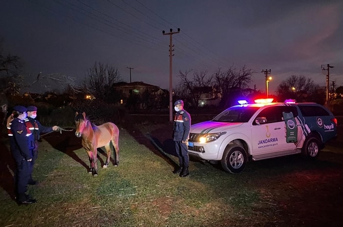 Çanakkale'de Ata Eziyet Eden Şahsa Para Cezası