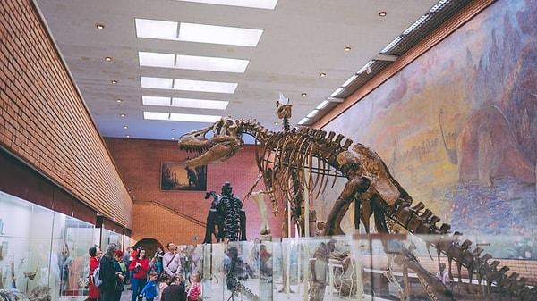 26. Hadrosaur türündeki dinozorlar Afrika'da bulunuyorlardı ve oraya Avrupa ya da Asya'dan yüzmüşlerdi.