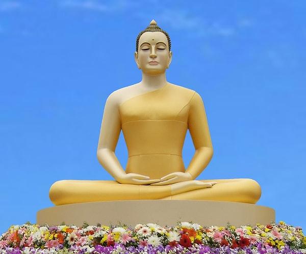 Budistlerle de yapılmış başka bir araştırma ise düzenli meditasyon yapan bu bireylerin kontrol grubuna göre çok daha rasyonel kararlar aldıklarını göstermiştir.