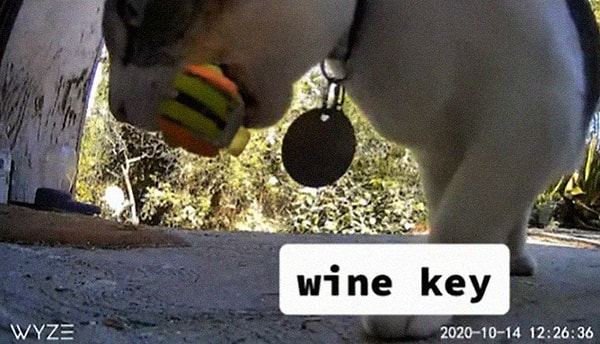 10. Открывашка для бутылок: должна быть в каждом доме.