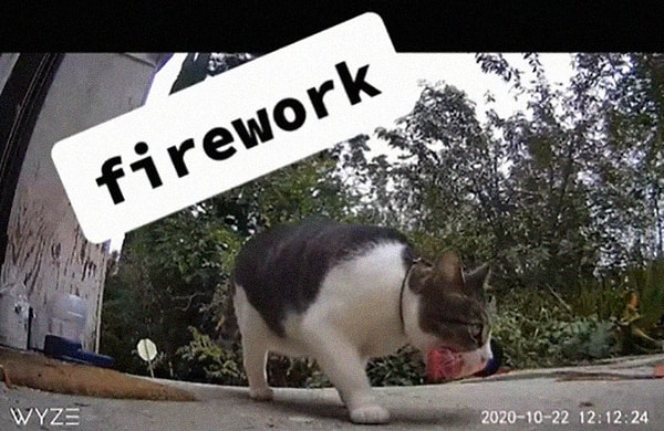 11. Петарда: для праздничного настроения!