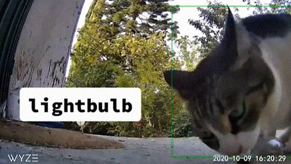 12. Лампочка: на случай, если наша перегорит.