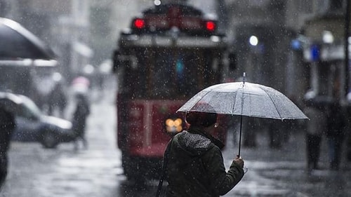 İstanbul'un Biyolojik Ritmi Bozuldu: 'Aralık Ayında Ağaçların Çiçek Açması Normal Değil'