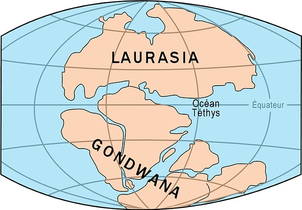 75 milyon yıl gibi bir sürenin ardından, tam da dinozorların yaşadığı Mezozoik Çağ'da Laurasia ve Gondwana adında iki kıtaya ayrıldı.