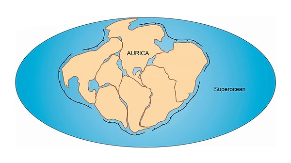 Üçüncü senaryo Aurica. Bu senaryoda Avrasya ve Kuzey Amerika'nın altına doğru zaten batmakta olan Pasifik Okyanusu temel alınır.