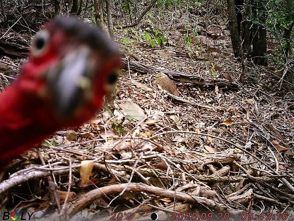 5. Ты что-то потерял человек?