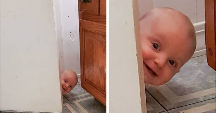 15 веских доказательств того, что скука - это чувство, которое неведомо родителям маленьких детей (Часть 2)