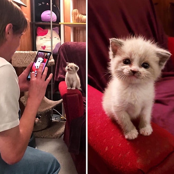 5. О, приветик)