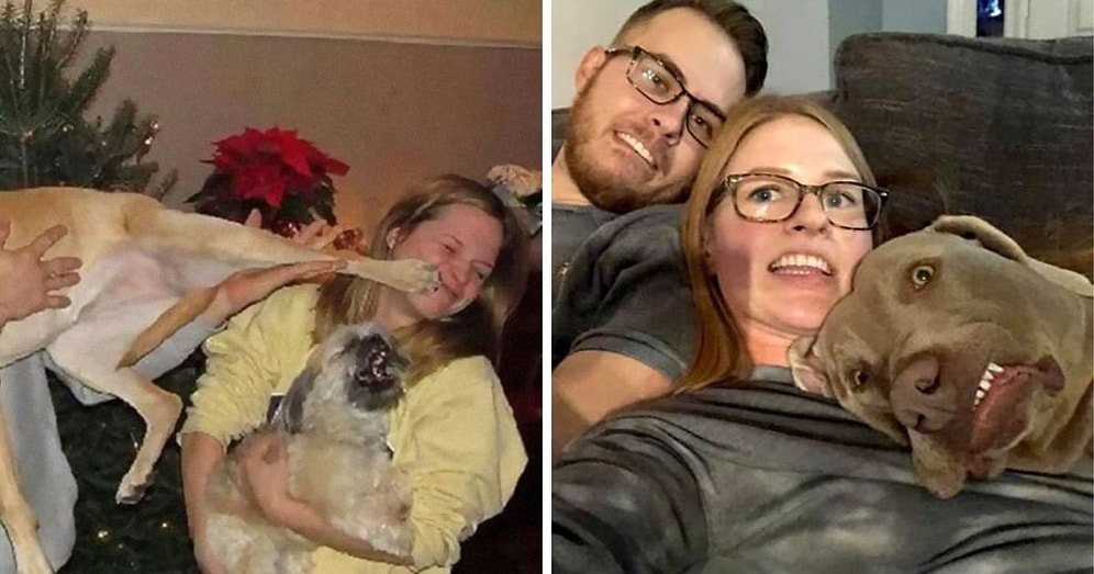 20 новогодних фотографий, которые должны были получиться адекватными, пока не появилась собака