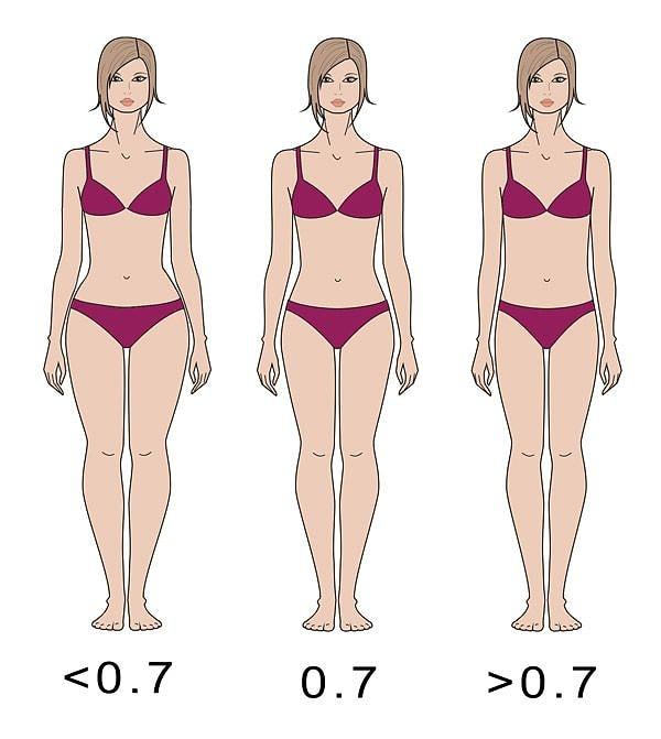 Bir kadının bel ölçüsünü kalça ölçüsüne böldüğünde çıkan sonuç 0.7 veya bu orana çok yakın olursa, bu sağlıklı doğurganlık anlamı taşıyor.