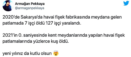 Böyle Kutlama Olmaz Olsun! Yeni Yılda Atılan Havai Fişekler Kuş Katliamına Neden Oldu