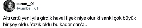 Böyle Kutlama Olmaz Olsun! Yeni Yılda Atılan Havai Fişekler Kuş Katliamına Neden Oldu