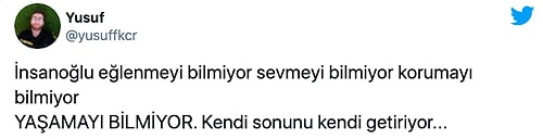 Böyle Kutlama Olmaz Olsun! Yeni Yılda Atılan Havai Fişekler Kuş Katliamına Neden Oldu