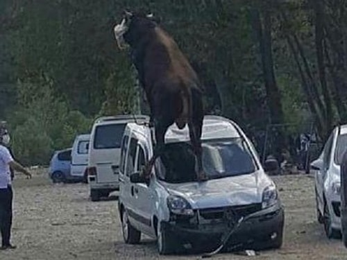 Van Gölü Canavarı ile Birlikte Sadece Van'da Görebileceğiniz Birbirinden Fantastik 29 Manzara