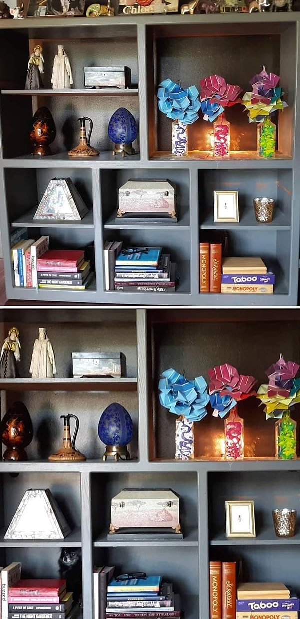 2. Моя собачка есть на обеих фотографиях, но увидеть ее можно только на 2-й. Когда я ее позвал, она не отвечала. И я уже начал переживать. Как оказалось, она спала за книгами