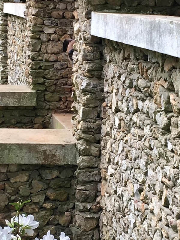 5. А вы можете ее найти?