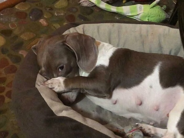 7. Кто-нибудь видел Дотти? Она должна быть где-то здесь