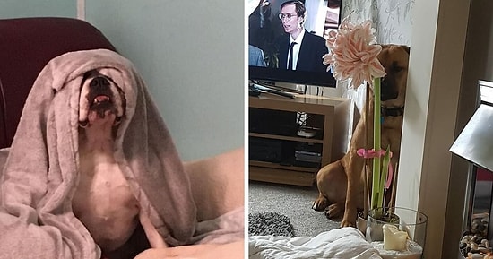 Кто не спрятался, я не виноват: 15 лучших мастеров спорта по пряткам