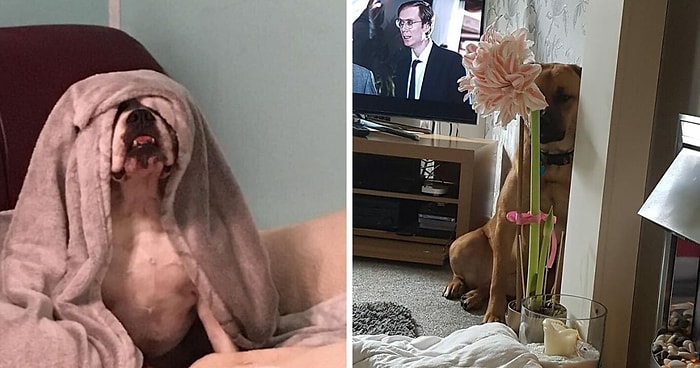 Кто не спрятался, я не виноват: 15 лучших мастеров спорта по пряткам