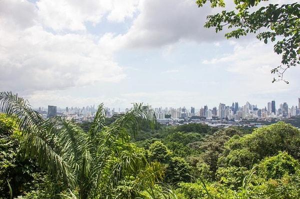 13. Panama, içinde yağmur ormanları bulunan tek başkenttir.