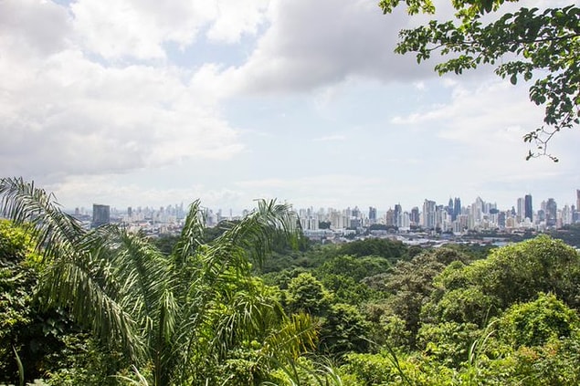 13. Panama, içinde yağmur ormanları bulunan tek başkenttir.
