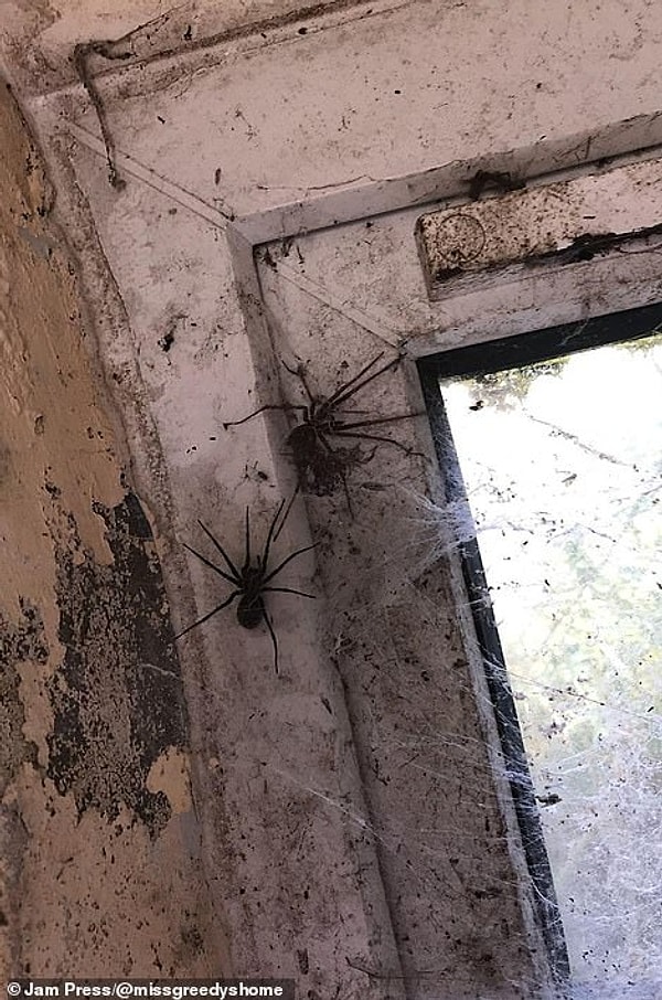 «Мне нравится результат того, чего я достигла здесь, это прекрасное чувство, знать, что я этого добилась, когда два года назад у меня ничего не было».