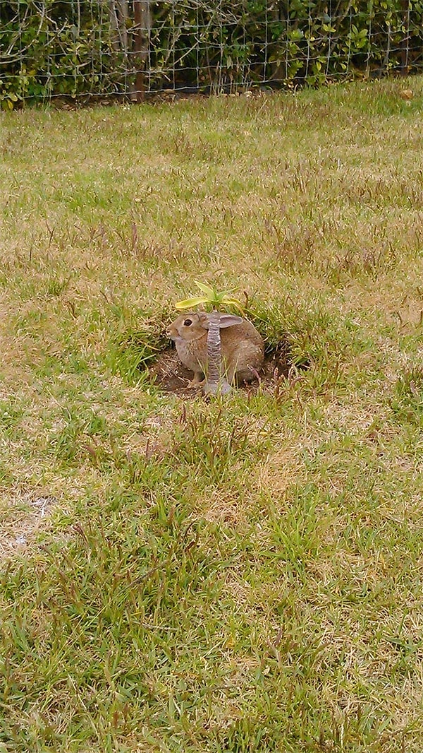 10. Четко закамуфлировался.