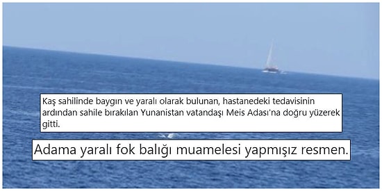 İnternetteki Ata Sporumuz Olan Yorum Yapma Sanatının Bu Haftaki Altın Madalyalık 15 Temsilcisi