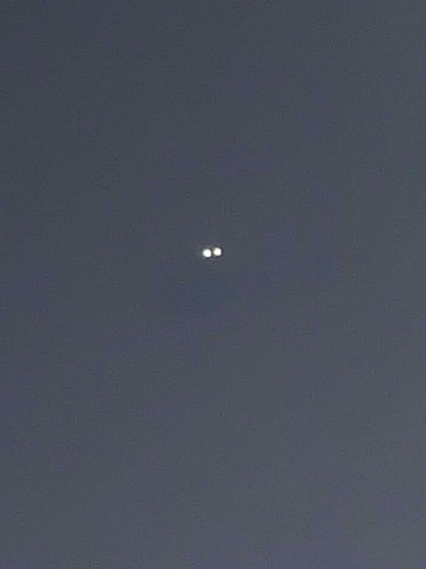 12. Удалось сделать этот снимок того, что я считаю рысью.