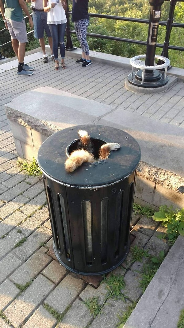 14. Подержите-ка мое пиво, я спускаюсь вниз...