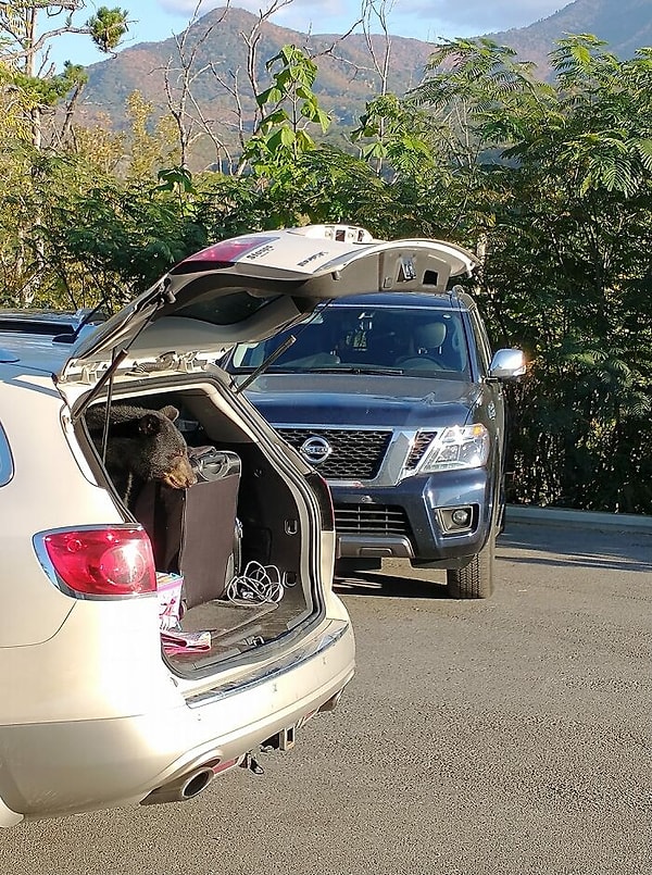 21. Примечание: убедитесь, что ваш багажник закрывается, когда вы нажимаете кнопку!