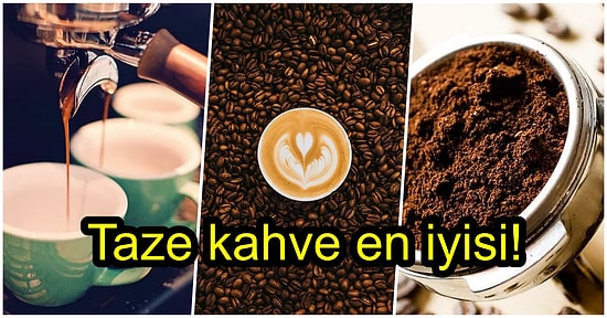 Kahve Seçme Rehberi! Kendiniz İçin En Doğru Çekirdeği Nasıl Seçersiniz?