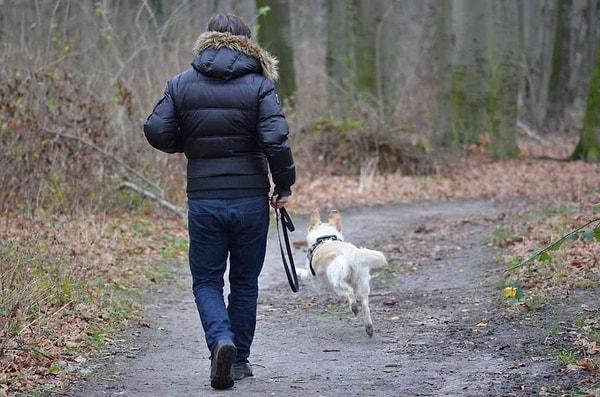 Hikaye bir adam ve onun köpeğinin yürüyüşe çıkmasıyla başlar.