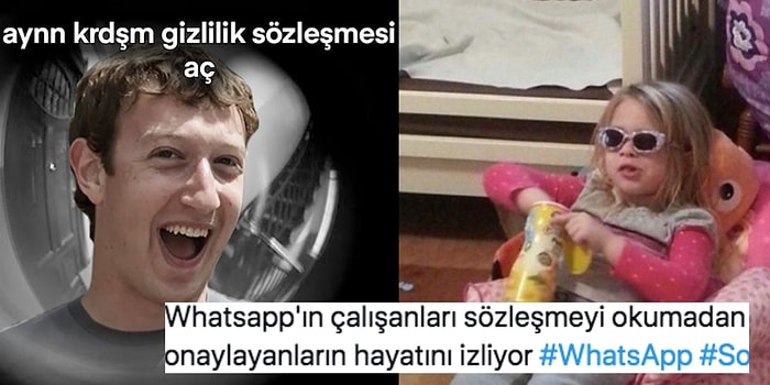 WhatsApp'ın Yeni Gizlilik Sözleşmesi Karşısında Far Görmüş Kediye Dönen Kullanıcılardan Güldüren Paylaşımlar