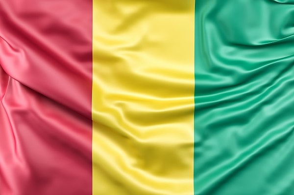 2. Гвинея разработала стратегию реагирования на Covid-19, прежде чем кто-либо в стране заразился вирусом.