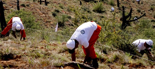 5. В 2015 году в Бутане был установлен мировой рекорд, когда группа из 100 человек посадила 49 672 дерева всего за час!